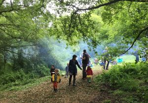 Daniels' Grove - Woodside Community Event